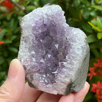 Uruguayan Amethyst Cluster, Grade B Amethyst Geode with Cut Base, Pick a Size