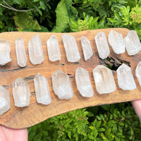 Clear Quartz Crystal Point (2" - 3") Natural Wand Specimen, Reiki Healing