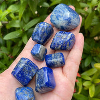 Grade A++ Lapis Lazuli Tumbled Stone, 0.65-1.5 Inch Lapis Crystal,Wholesale Bulk