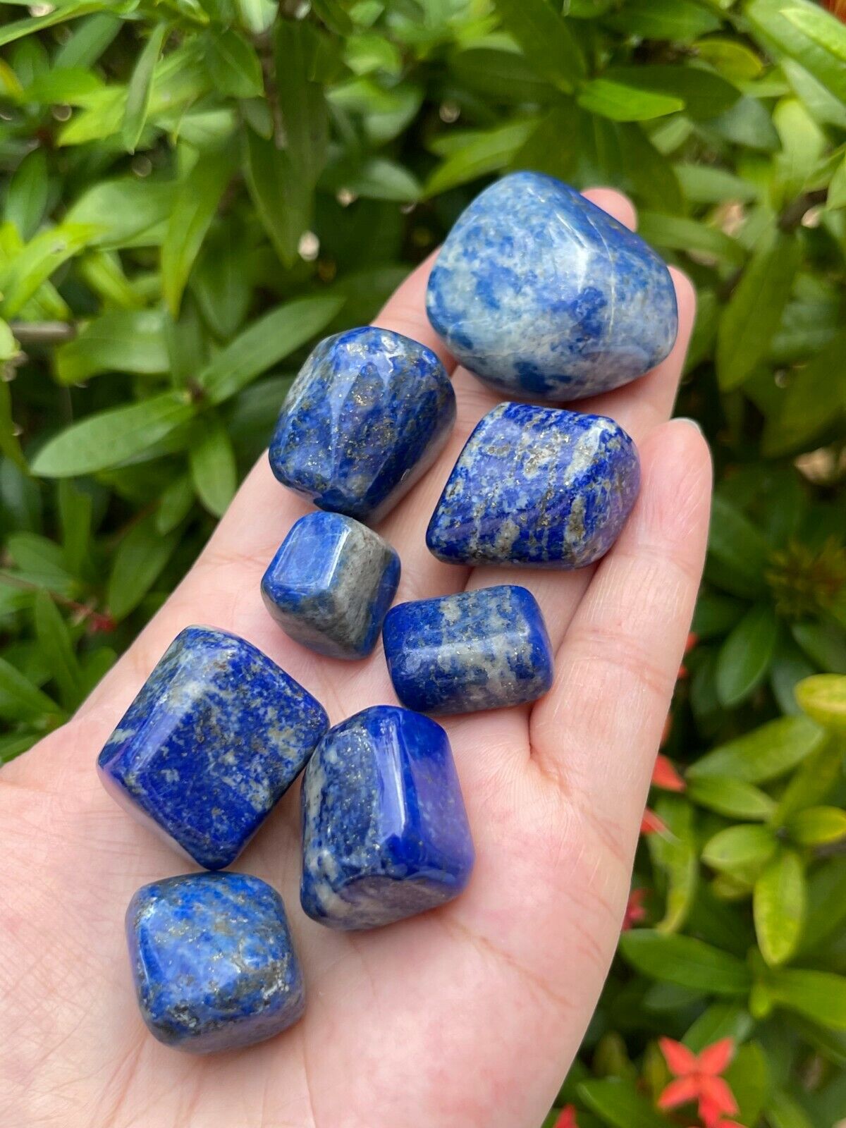 Grade A++ Lapis Lazuli Tumbled Stone, 0.65-1.5 Inch Lapis Crystal,Wholesale Bulk
