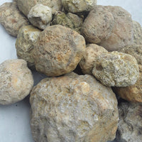 5 lbs Premium Kentucky Uncut Geodes Agates Nodules Lapidary Quartz Crystals Sale