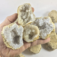 10 Break Crack Open Your Own Whole indian Geodes W/Gift Box - 2" Crystal Druzy