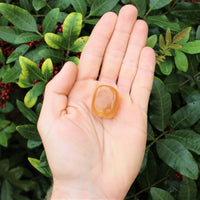 1 x Tumbled Stones : You Choose Type - Huge Range - ON SALE! (Crystal Healing)