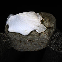 Scolecite Geode 90g High-Vibe Reiki Healing Crystal Chakra Energy Stone