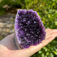 Stunning LARGE Amethyst Cut Base Cluster, Crystal Quartz Geode 8 - 11 oz