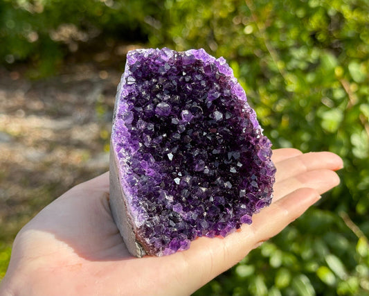 Stunning LARGE Amethyst Cut Base Cluster, Crystal Quartz Geode 8 - 11 oz