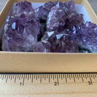 Raw Amethyst Cluster Druzy Collection Box: 6 - 8 oz Box Lot, Natural Amethyst