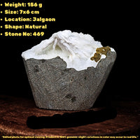 Natural Scolecite Geode Spray 156g | Zeolite Mineral Cluster from India 7x6cm