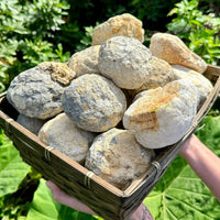 JUMBO Break Your Own Geodes Wholesale Lots - Unopened Moroccan Calcite Crystals