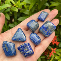 Grade A++ Lapis Lazuli Tumbled Stone, 0.65-1.5 Inch Lapis Crystal,Wholesale Bulk