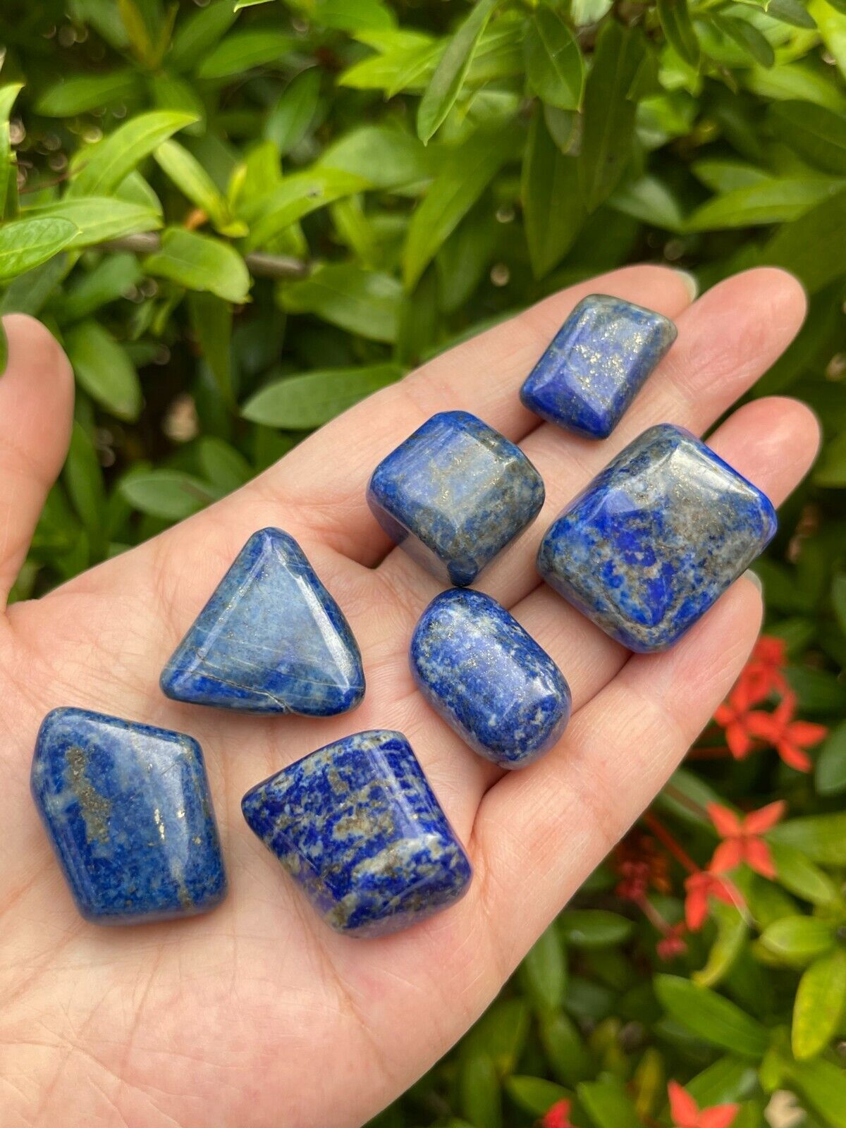 Grade A++ Lapis Lazuli Tumbled Stone, 0.65-1.5 Inch Lapis Crystal,Wholesale Bulk