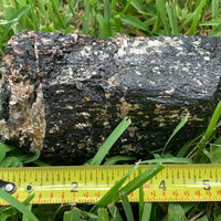 Extra Large Black Tourmaline Chunk / Rod / Log, Natural Rough Black Tourmaline