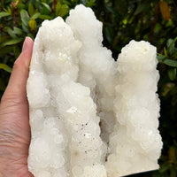 Chalcedony & Crystal Quartz Stalactite, Quartz on Chalcedony Stalactite Specimen