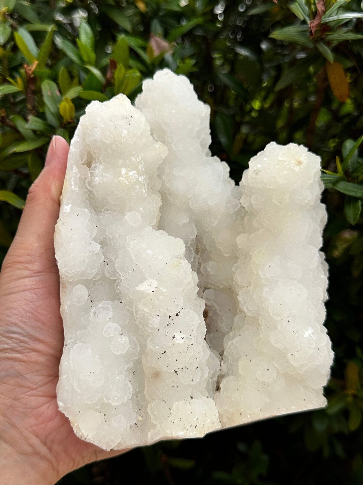 Chalcedony & Crystal Quartz Stalactite, Quartz on Chalcedony Stalactite Specimen