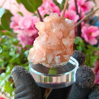 Rare Orange Stilbite & Heulandite Crystal Specimen 130g From India