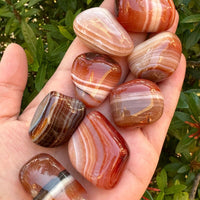 1/2 Lb Lot Tumbled Stones, 0.75-1.25" Crystal Healing Stones, Choose Stone Type