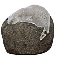 Natural Scolecite Geode 85g Raw Healing Crystal Mineral Specimen