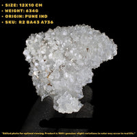 Apophyllite Cluster 634g 12x10 cm Natural Green Crystal Collector Specimen