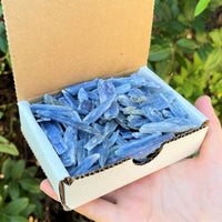 Blue Kyanite Blades Crystal Collection 1/2 lb Box Lot - Natural Kyanite Crystals