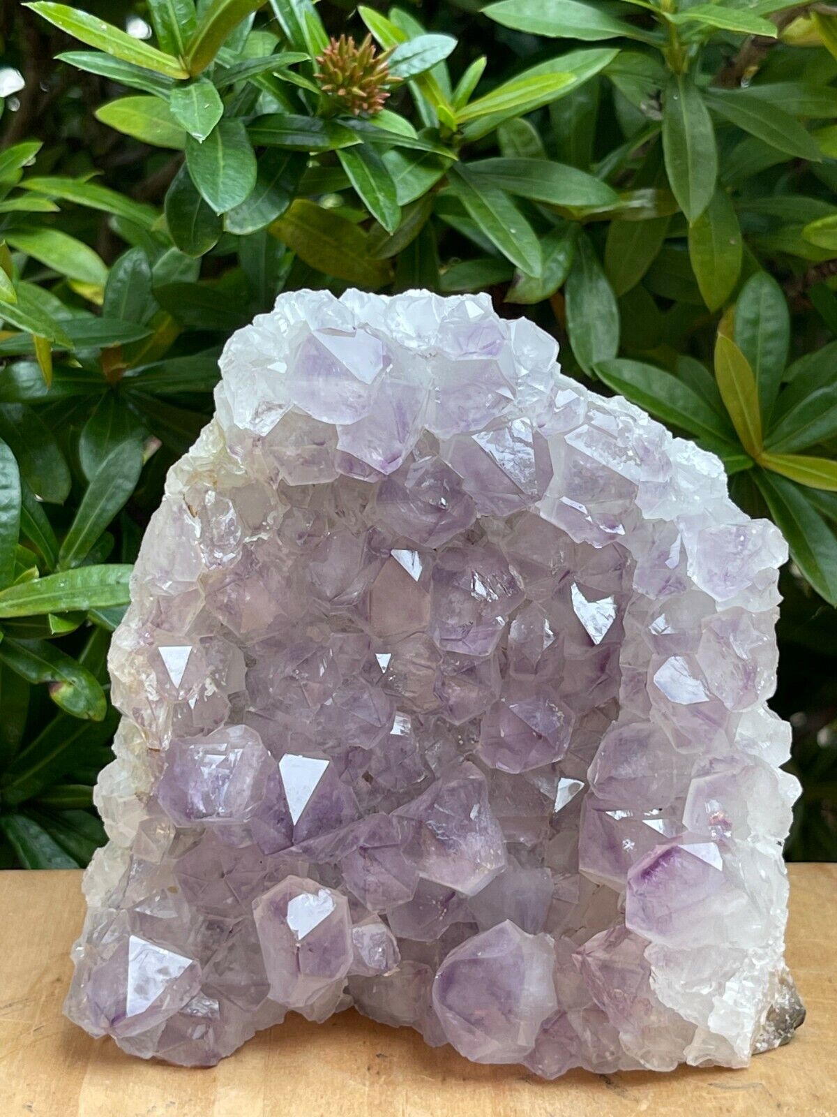 Uruguayan Amethyst Cluster, Grade B Amethyst Geode with Cut Base, Pick a Size