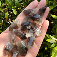 Natural Smoky Quartz Crystal Points, Small Smoky Quartz Point,Wholesale Bulk Lot
