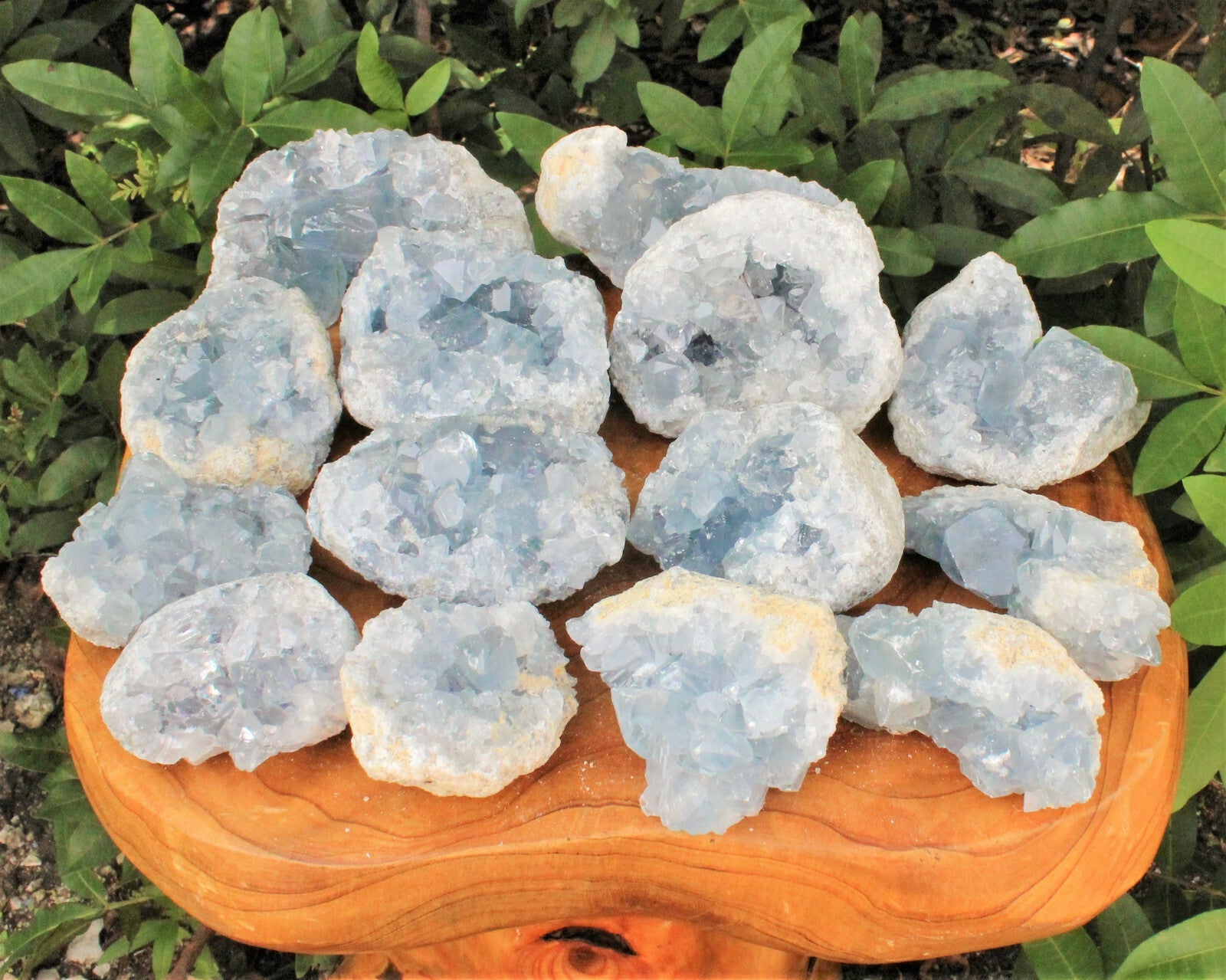 LARGE Natural Celestite Crystal Cluster Box: 6-8 Pieces, 1.75-2.5 lb Bulk Lot