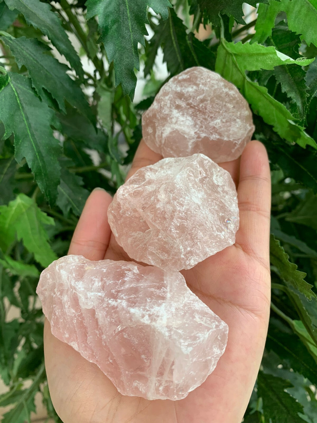Large Rose Quartz Rough Natural Stones, 2-3" Raw Rose Quartz,Wholesales Bulk Lot