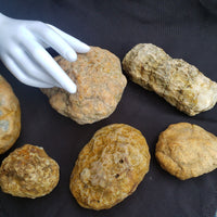 5 lbs Premium Kentucky Uncut Geodes Agates Nodules Lapidary Quartz Crystals Sale