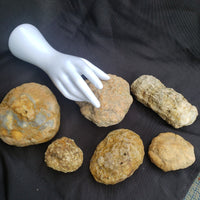 5 lbs Premium Kentucky Uncut Geodes Agates Nodules Lapidary Quartz Crystals Sale