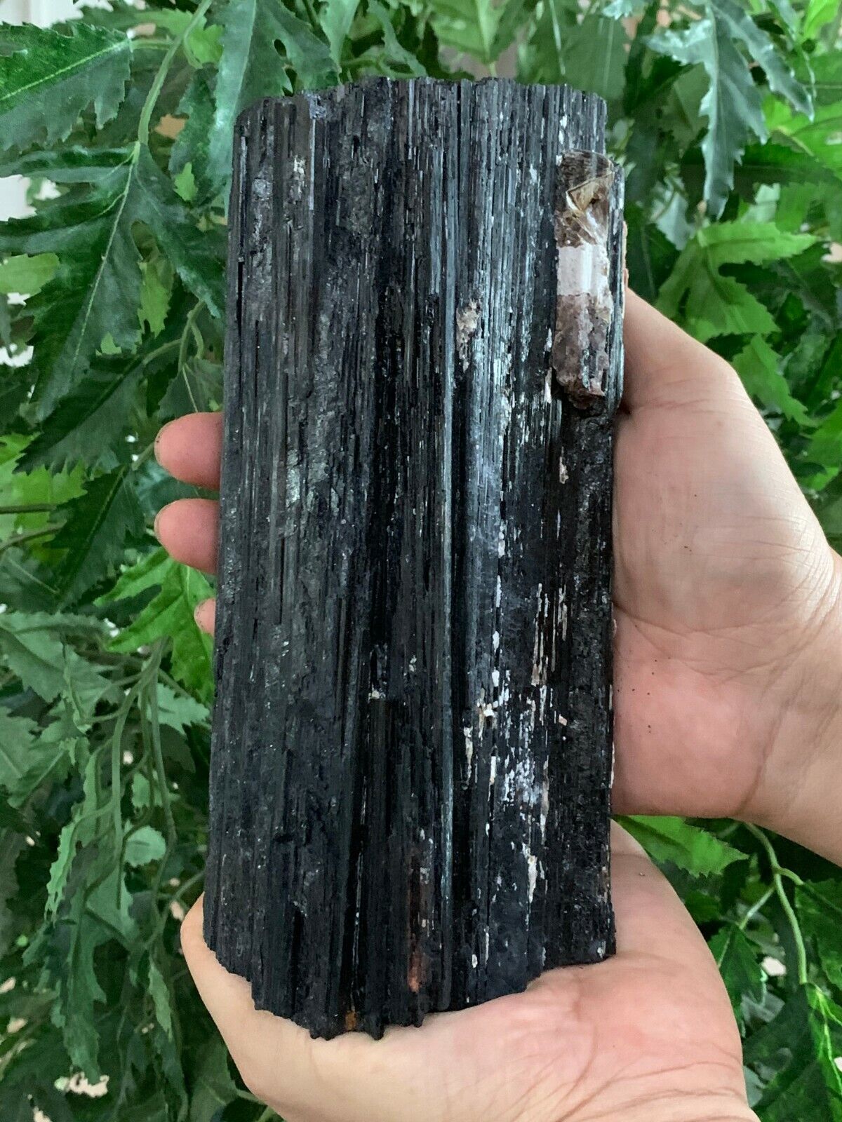 Extra Large Black Tourmaline Chunk / Rod / Log, Natural Rough Black Tourmaline