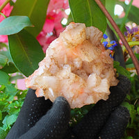 220g Natural Orange Stilbite with Heulandite Mineral Crystal Cluster from India