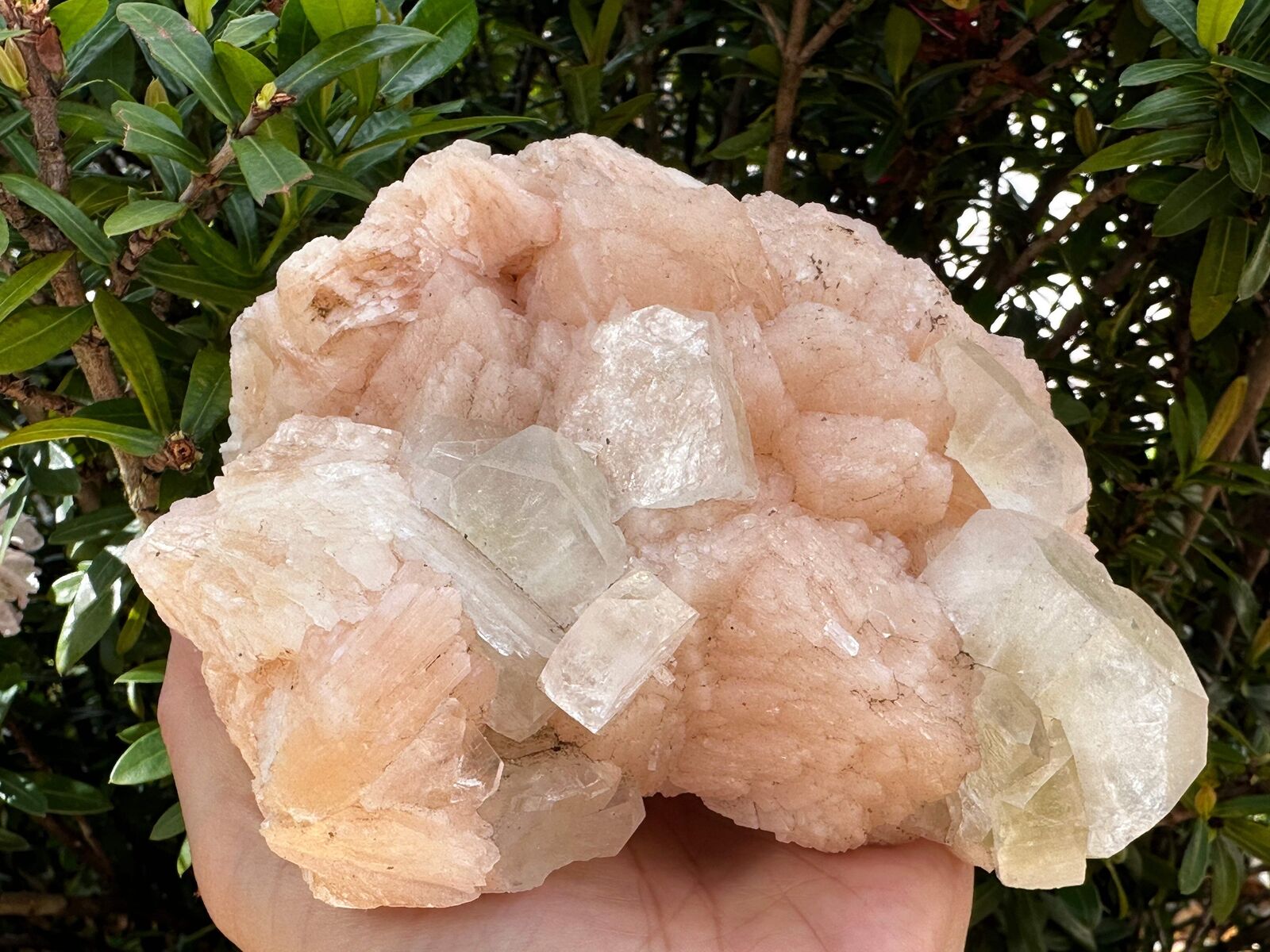 Apophyllite & Stilbite Crystal Cluster 3-8", Apophyllite Cluster with Inclusions