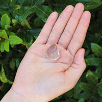 1 x Tumbled Stones : You Choose Type - Huge Range - ON SALE! (Crystal Healing)