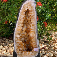 X-Large Citrine Cathedral, Citrine Geode, Honey Citrine Cluster, Pick a Weight
