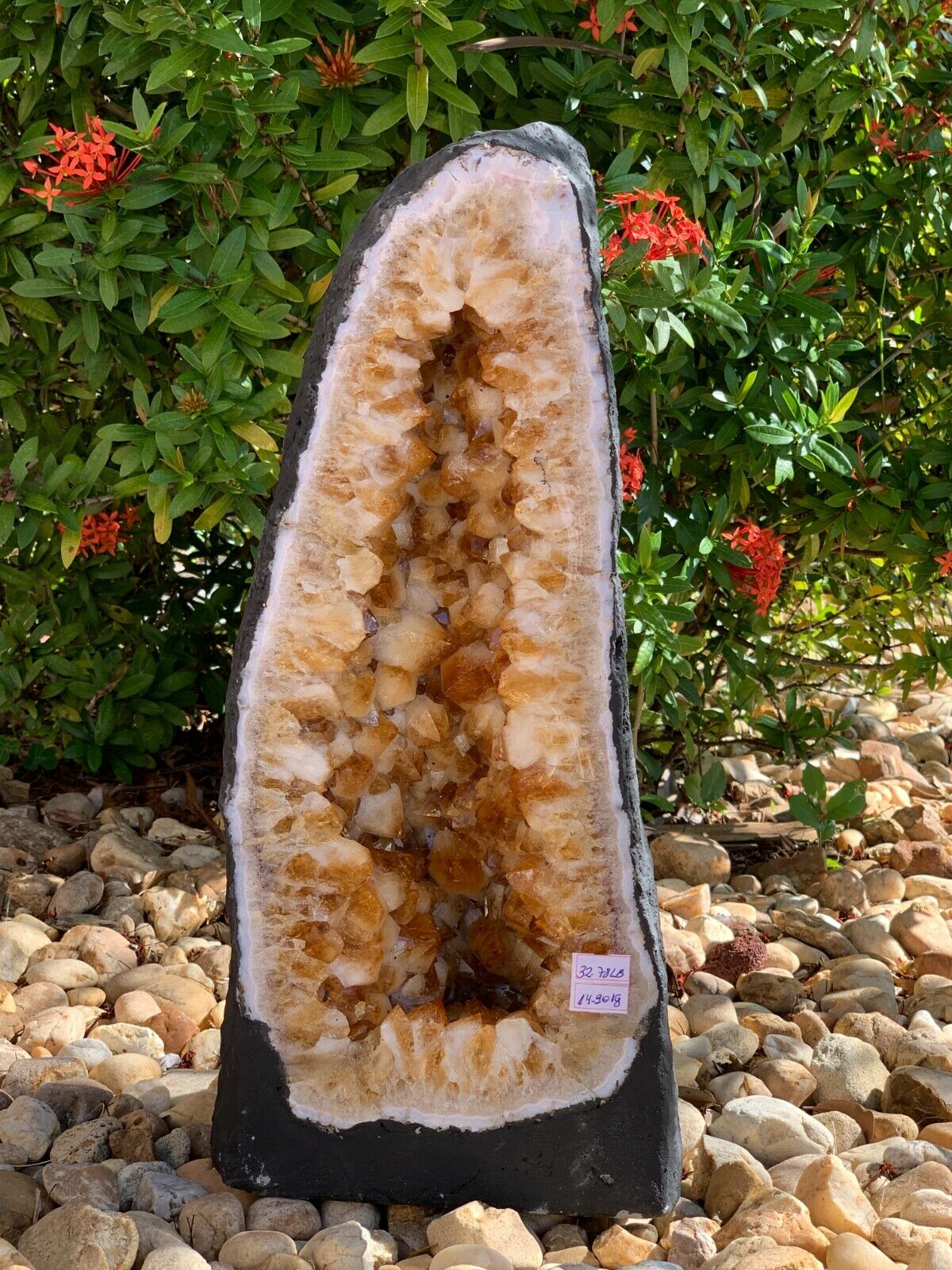 X-Large Citrine Cathedral, Citrine Geode, Honey Citrine Cluster, Pick a Weight