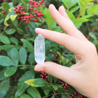 Clear Quartz Crystal Points 1/2 lb Bulk Lot Natural Mineral Wand Specimen (8 oz)