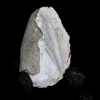 Natural Scolecite Geode 110g Raw Crystal Healing Mineral from India