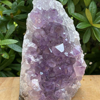 Uruguayan Amethyst Cluster, Grade B Amethyst Geode with Cut Base, Pick a Size