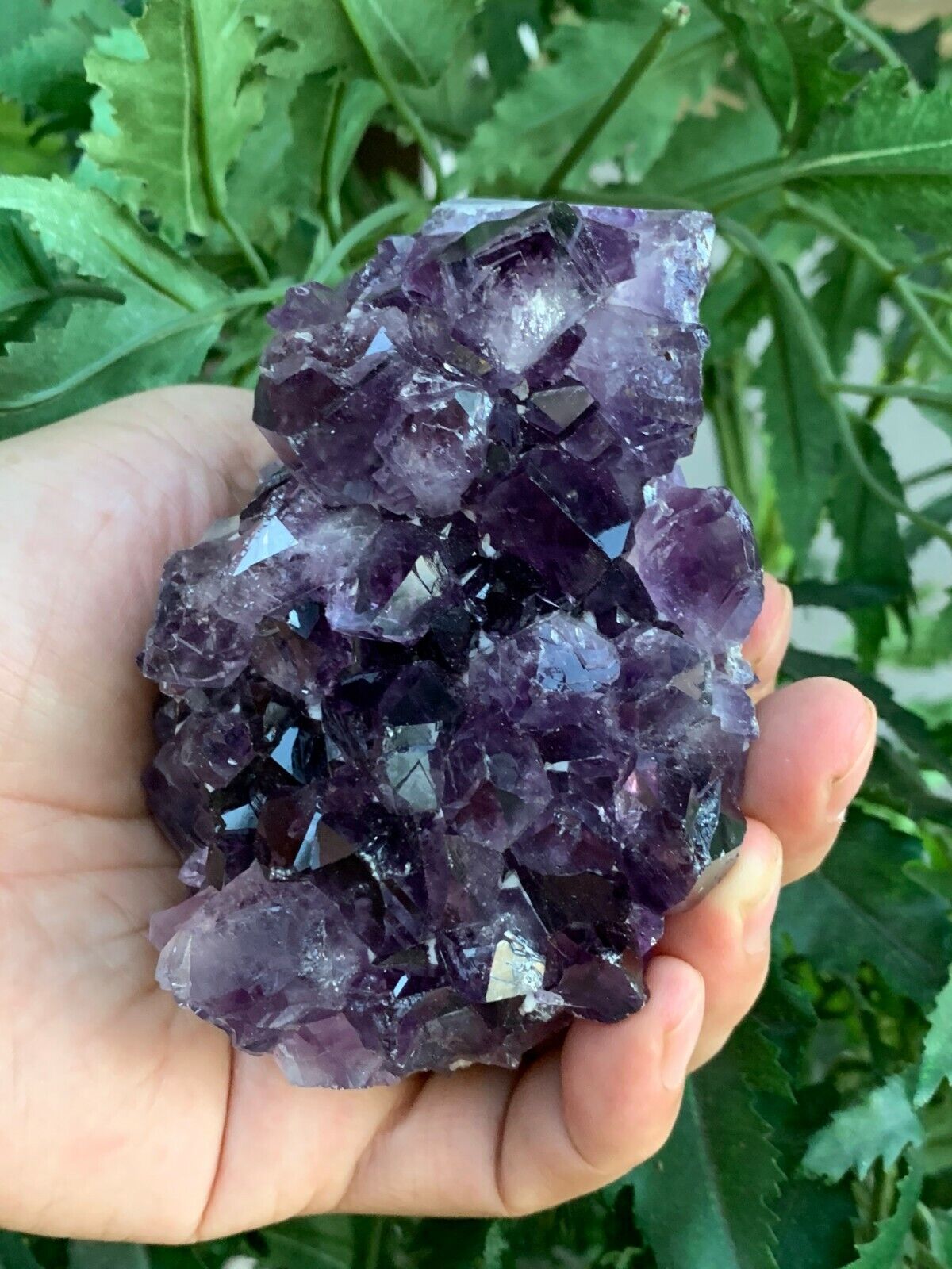 Deep Purple Amethyst Cluster From Uruguayan, Amethyst Geode, Raw Amethyst