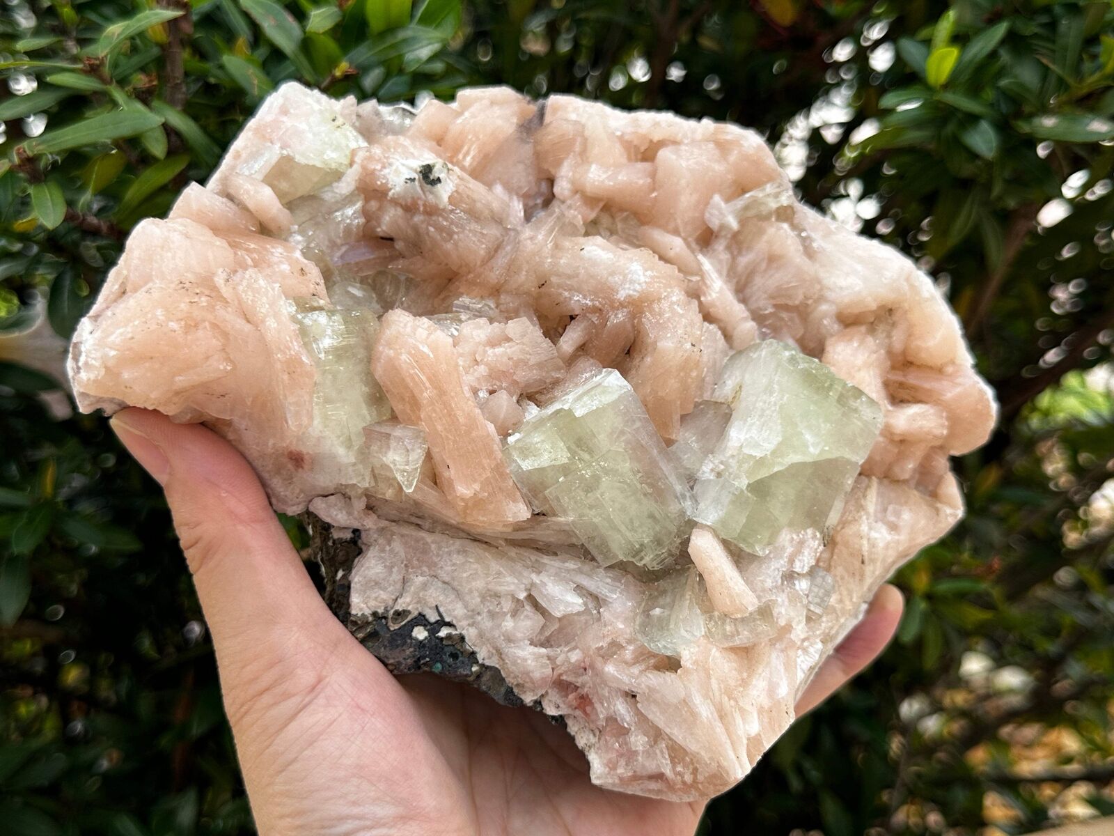 Apophyllite & Stilbite Crystal Cluster 3-8", Apophyllite Cluster with Inclusions