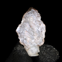 Natural Scepter Amethyst Crystal 10g Third Eye & Crown Chakra Healing Stone