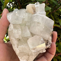 Apophyllite & Stilbite Crystal Cluster 3-8", Apophyllite Cluster with Inclusions