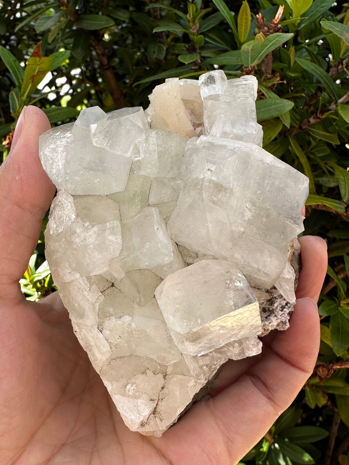 Apophyllite & Stilbite Crystal Cluster 3-8", Apophyllite Cluster with Inclusions