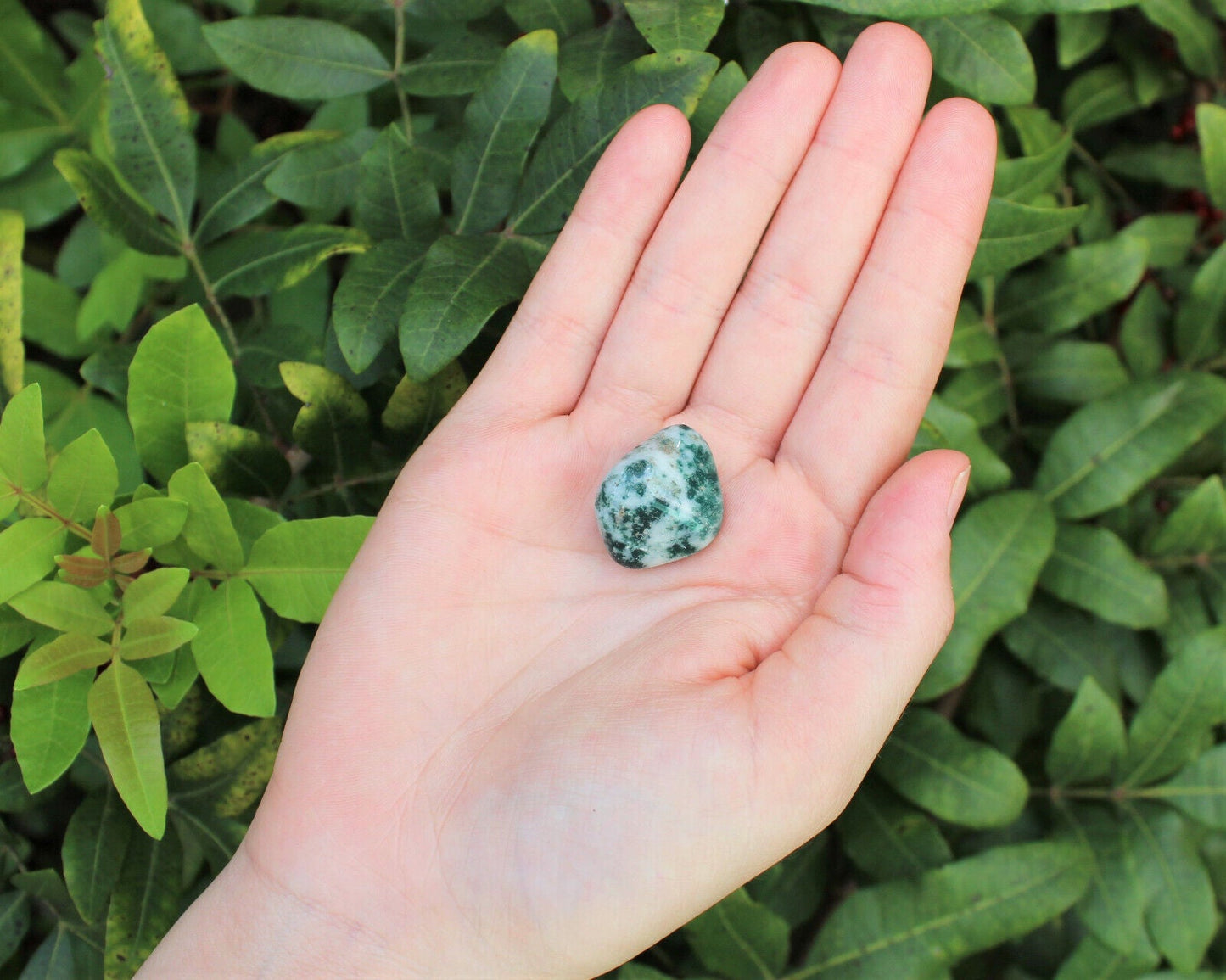 1 x Tumbled Stones : You Choose Type - Huge Range - ON SALE! (Crystal Healing)