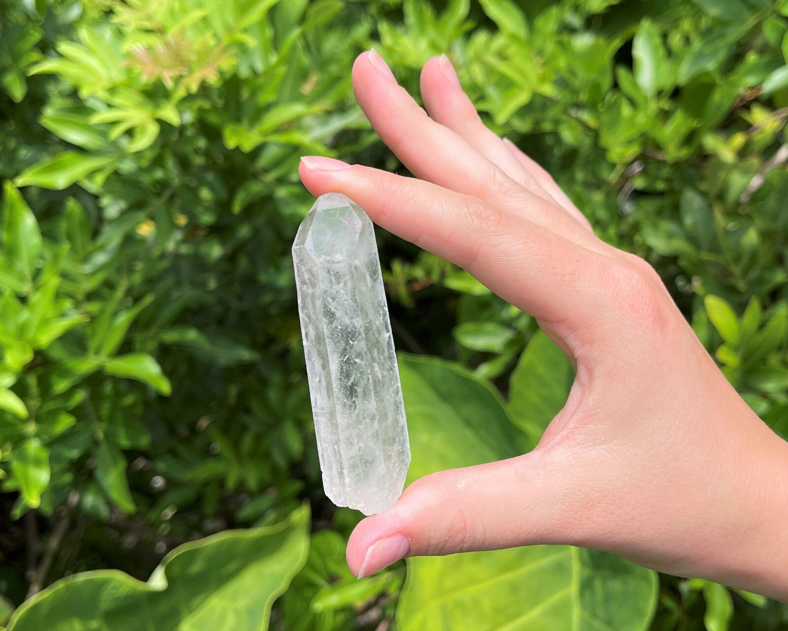 Clear Quartz Crystal Point (2" - 3") Natural Wand Specimen, Reiki Healing