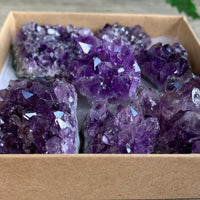 Raw Amethyst Cluster Druzy Collection Box:6-8 oz, 7 - 10 Pieces Natural Amethyst