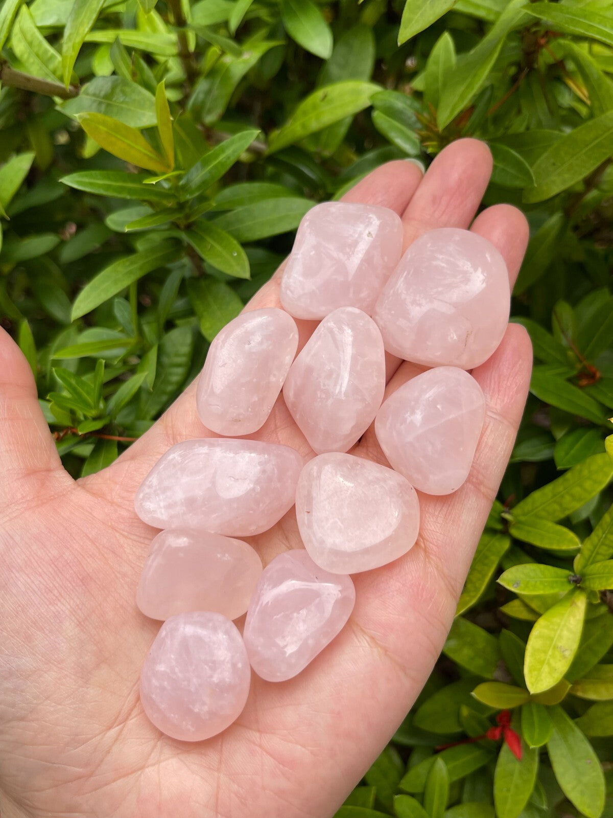 1/2 Lb Lot Tumbled Stones, 0.75-1.25" Crystal Healing Stones, Choose Stone Type