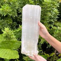 MASSIVE Selenite Logs - Natural White Selenite Crystals (HUGE Selenite Sticks)
