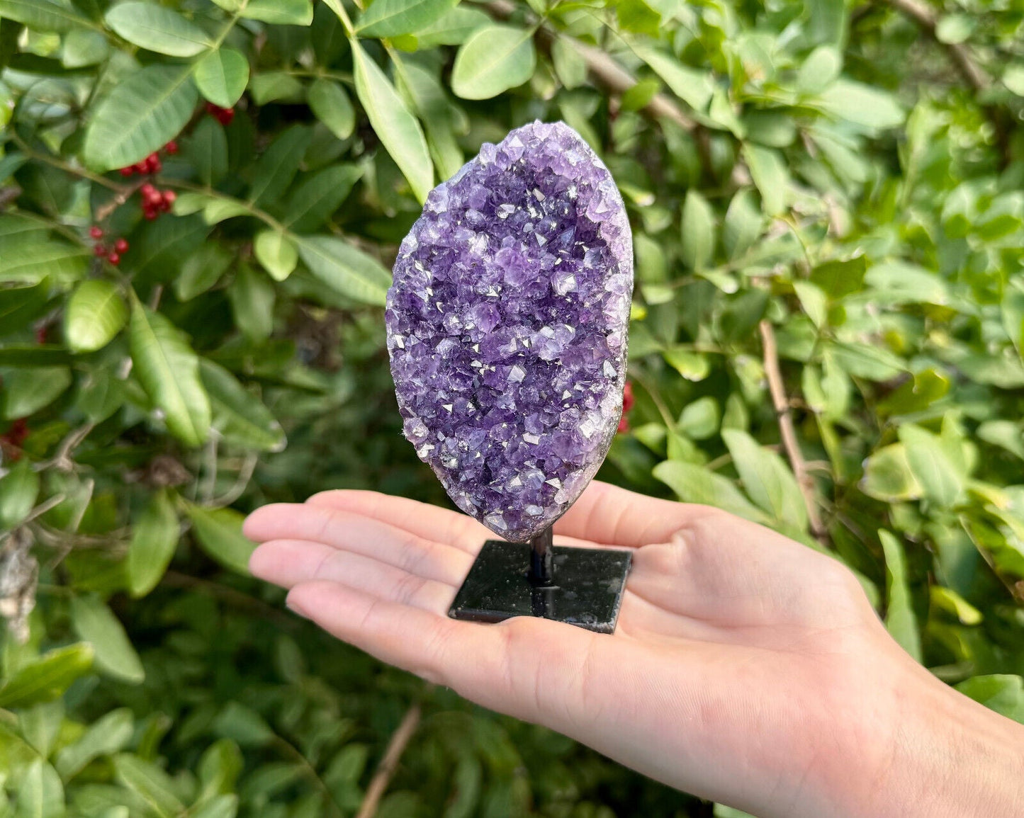 Amethyst Crystal Geodes On Metal Stands - Natural Amethyst Cluster Specimens