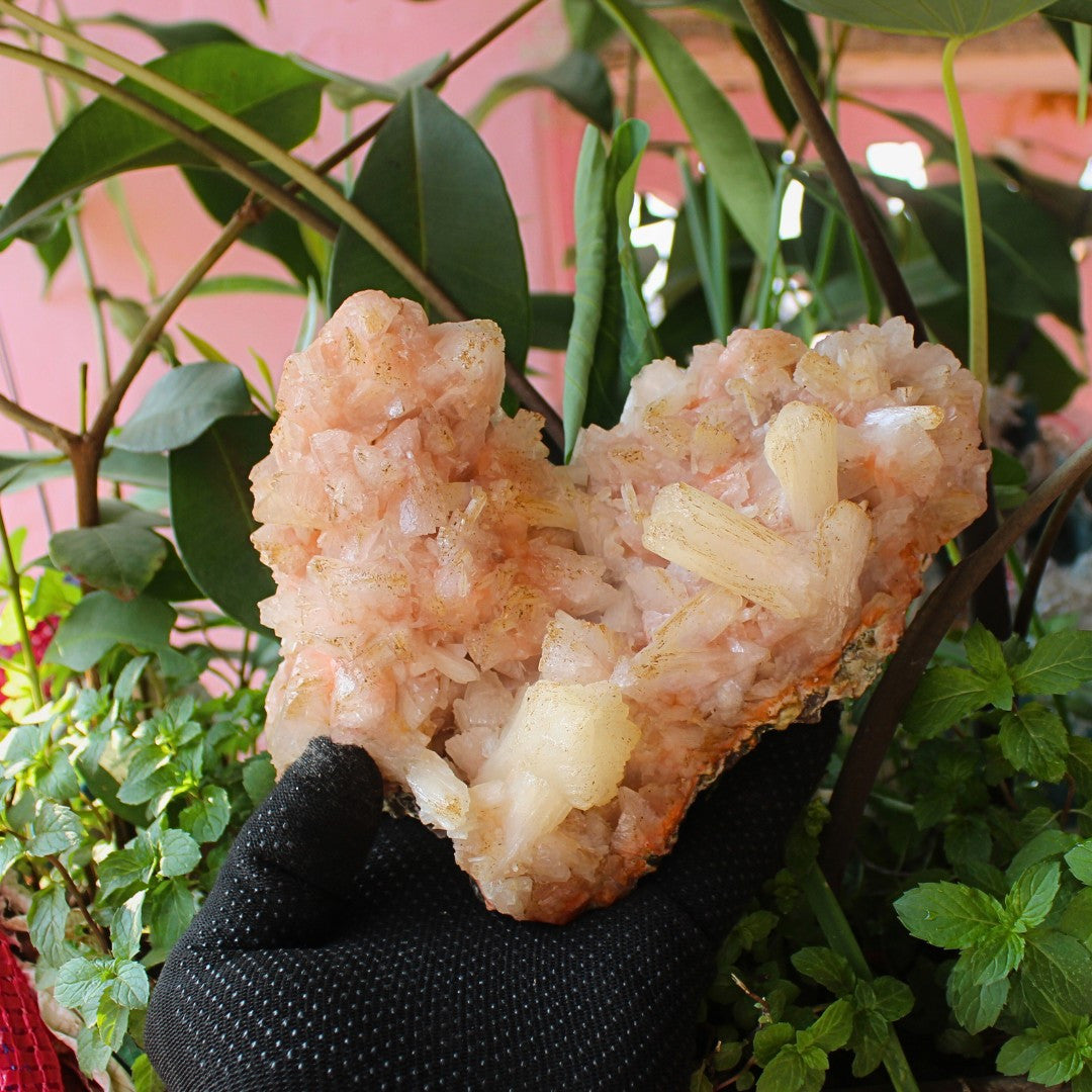 ✨ Natural Orange Stilbite & Heulandite Crystal Cluster 980g Reiki Healing Stone